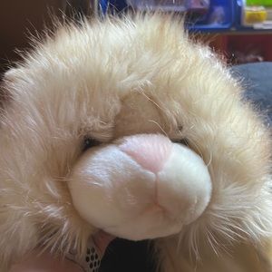 Fun kitten hat for kids in perfect condition